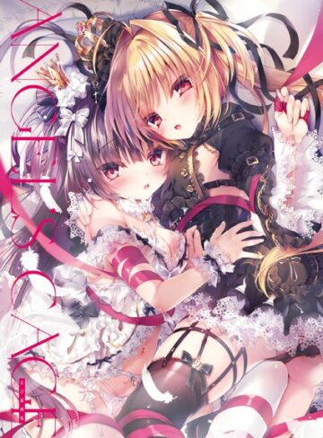 るび様|Angel’s cage るび様画集-単行本 ★評価