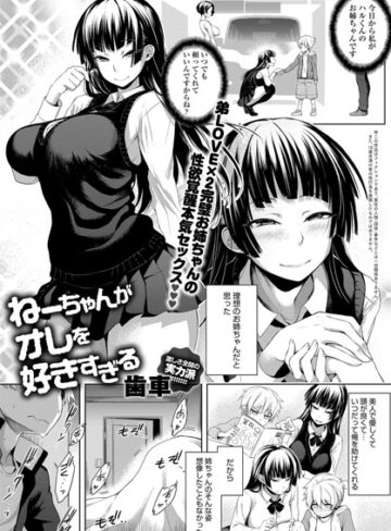 歯車|ねーちゃんがオレを好きすぎる（単話）-単話 ★評価5.00