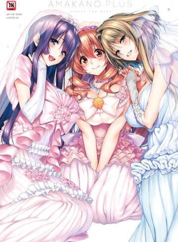 ピロ水|アマカノ＋ ビジュアルファンブック-単行本 ★評価5.00