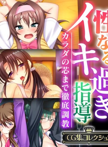 大人のSEXY絵本|性なるイキ過ぎ指導 〜カラダの芯まで徹底調教〜 【CG集コレクション】-単行本 ★評価