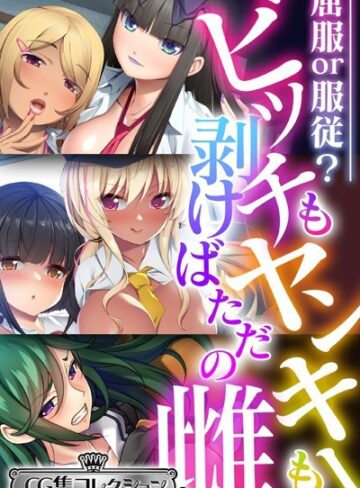 大人のSEXY絵本|ビッチもヤンキーも剥けばただの雌 〜屈服or服従？〜【CG集コレクション ミニ】-単行本 ★評価
