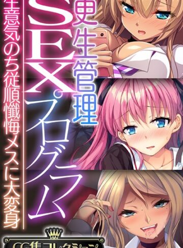 大人のSEXY絵本|更生管理SEXプログラム 〜生意気のち従順懺悔メスに大変身〜【CG集コレクション】-単行本 ★評価