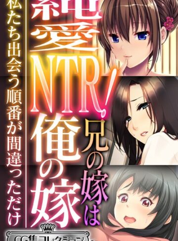 大人のSEXY絵本|純愛NTR！兄の嫁は俺の嫁 〜私たち出会う順番が間違っただけ〜【CG集コレクション ミニ】-単行本 ★評価