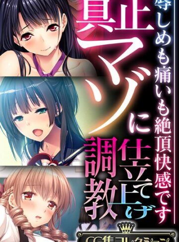 大人のSEXY絵本|真正マゾに仕立て上げ調教 〜辱しめも痛いも絶頂快感です〜【CG集コレクション】-単行本 ★評価
