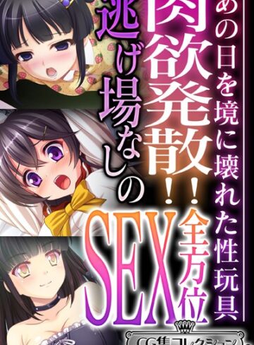 大人のSEXY絵本|肉欲発散！！逃げ場なしの全方位SEX 〜あの日を境に壊れた性玩具〜【CG集コレクション ミニ】-単行本 ★評価