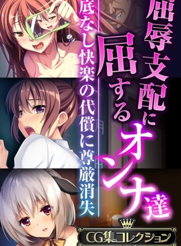大人のSEXY絵本|屈辱支配に屈するオンナ達 〜底なし快楽の代償に尊厳消失〜【CG集コレクションBIG】-単行本 ★評価