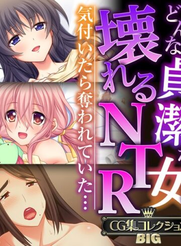 大人のSEXY絵本|どんな貞潔な女も壊れるNTR〜気付いたら奪われていた…〜【CG集コレクションBIG】-単行本 ★評価