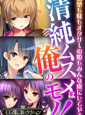 大人のSEXY絵本|清純ムスメは俺のモノ！〜清楚も妹もオタサーの姫もみんな虜にしてやる〜【CG集コレクションBIG】-単行本 ★評価