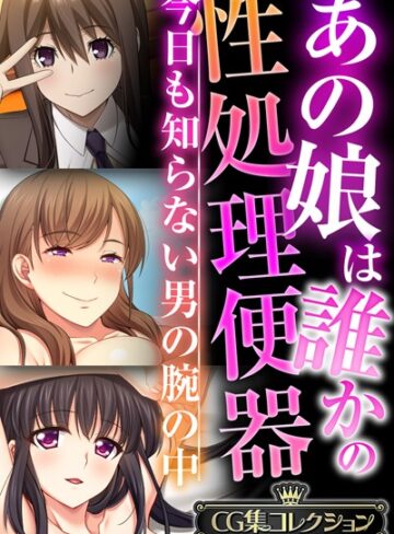 大人のSEXY絵本|あの娘は誰かの性処理便器 〜今日も知らない男の腕の中〜【CG集コレクションBIG】-単行本 ★評価