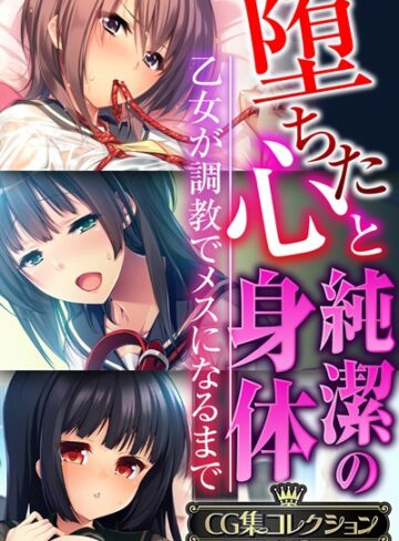 大人のSEXY絵本|堕ちた心と純潔の身体〜乙女が調教でメスになるまで〜【CG集コレクションBIG】-単行本 ★評価