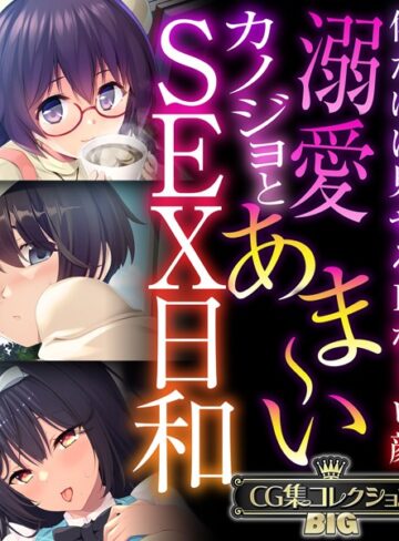 大人のSEXY絵本|溺愛カノジョとあま〜いSEX日和 〜僕だけに見せるHなトロ顔〜【CG集コレクションBIG】-単行本 ★評価