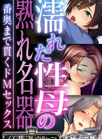 大人のSEXY絵本|濡れた性母の熟れ名器 〜一番奥まで貫くドMセックス〜【CG集コレクション】 モザイク版-フルカラー ★評価