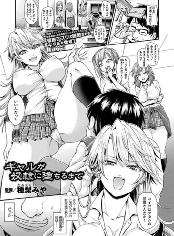 種梨みや|ギャルが奴●に堕ちるまで（単話）-単話 ★評価4.00