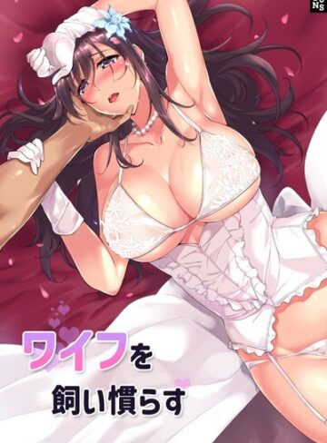 JJM|ワイフを飼い慣らす-フルカラー ★評価4.33