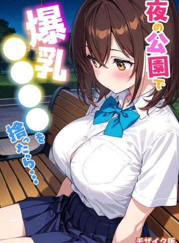 StudioSR|夜の公園で爆乳●●●●を拾ったら… モザイク版-フルカラー ★評価